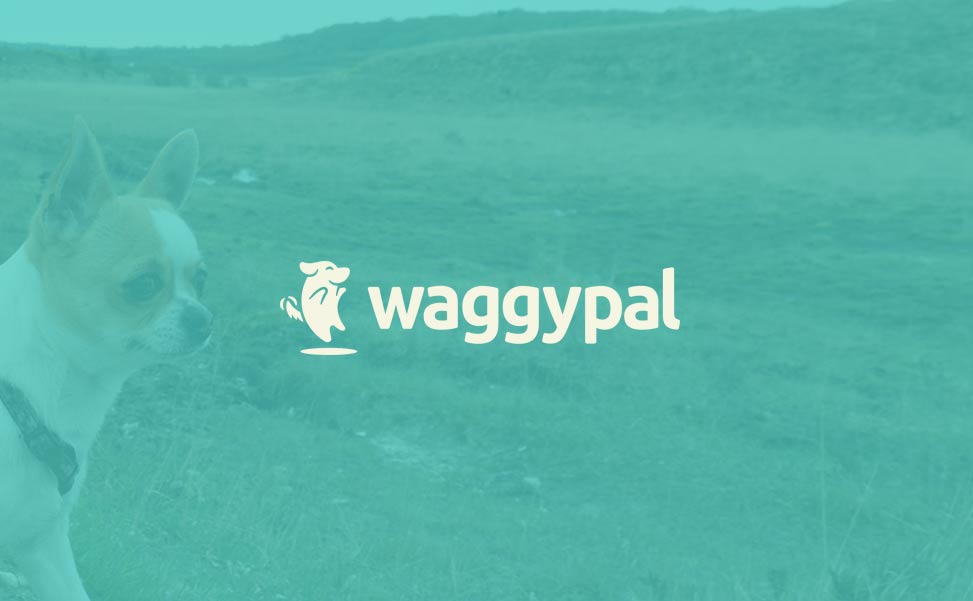 Waggypal logo - Brand Design, Web Design and Web Development